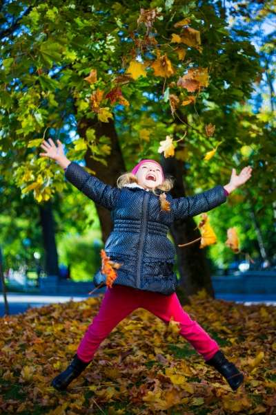 Child marveling at multi-colored autumn leaves.