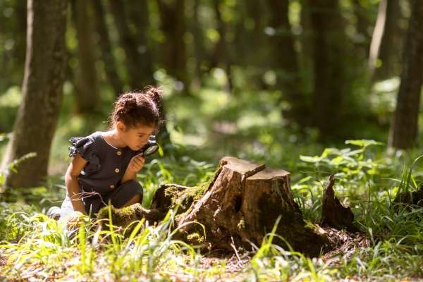 Child in a scavenger hunt, hunting for ordinal numbers.