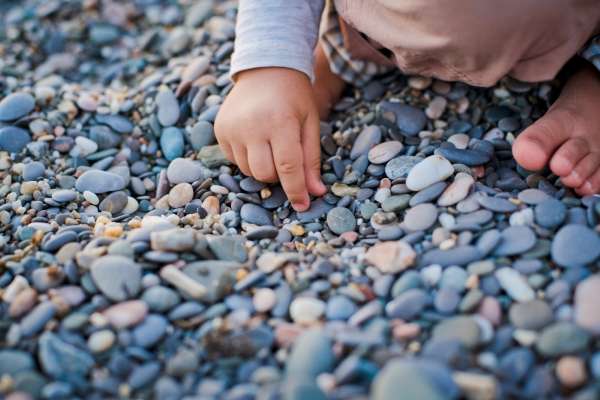 Handful of pebbles from a nature walk representing percentages.